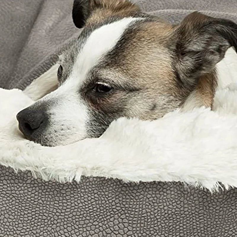 Orthopedic Bed for Dogs Puppy Cat Winter House Warm Mat Cushion Kennel for Indoor Dog Bed Pet Sofa Products Houses and Habitats